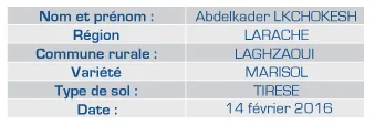 Resultados en cítricos — 4