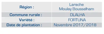 Résultats sur les fraises — 3