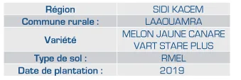 Résultats sur les melons — 3